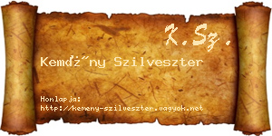 Kemény Szilveszter névjegykártya
